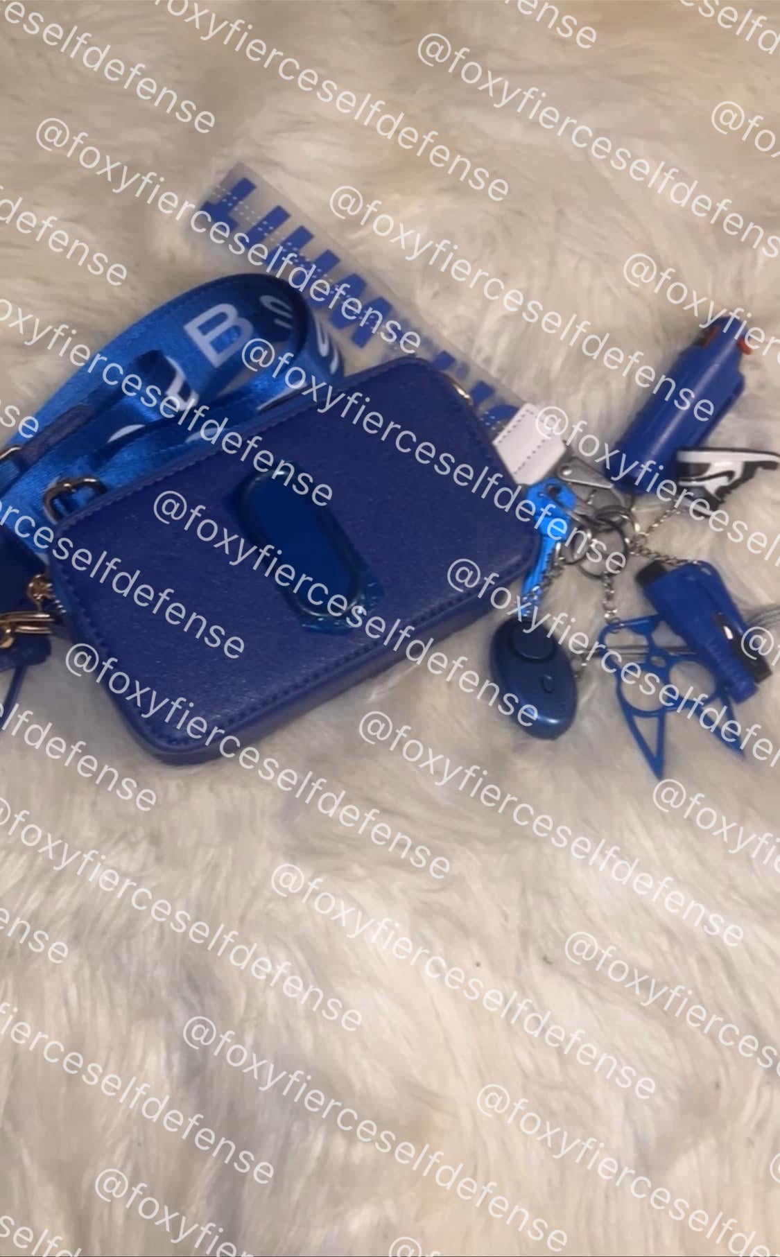 Blue Purse & Keychain